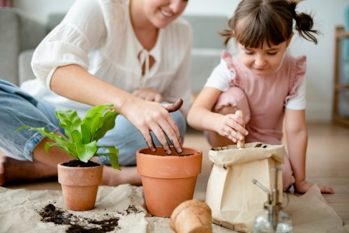 Educar con valores: sembrar hoy para cosechar mañana en una sociedad que necesita raíces firmes